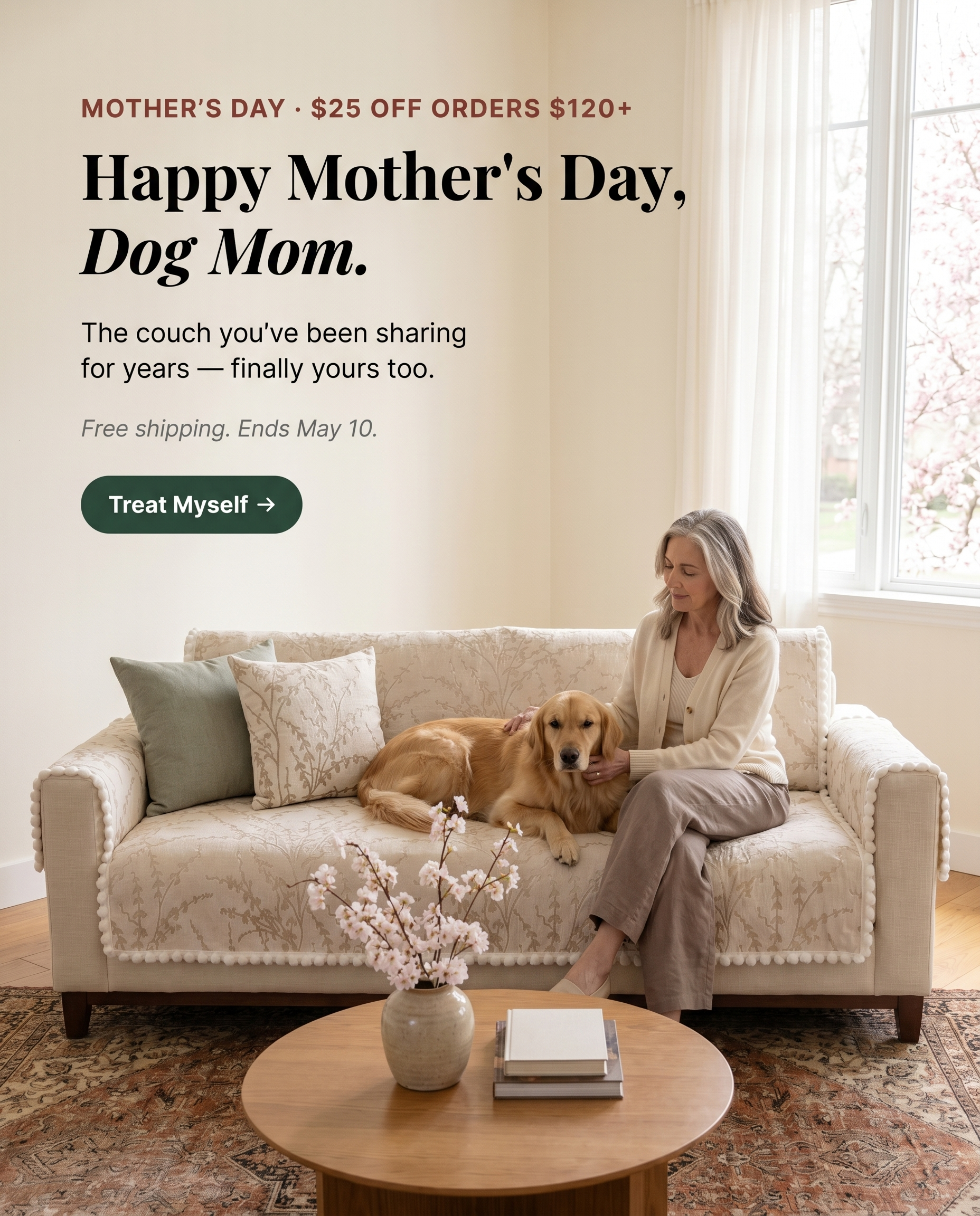 Sofa Covers Built for Dog Moms