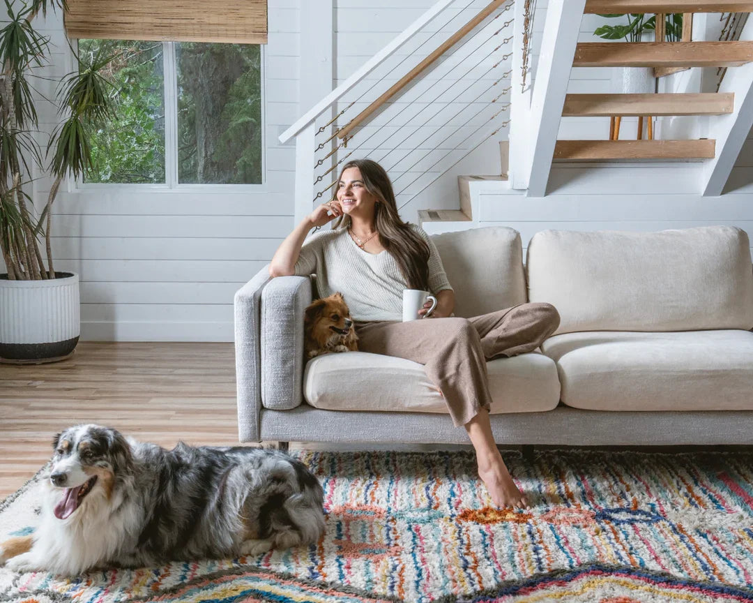 Pet-Approved Collection