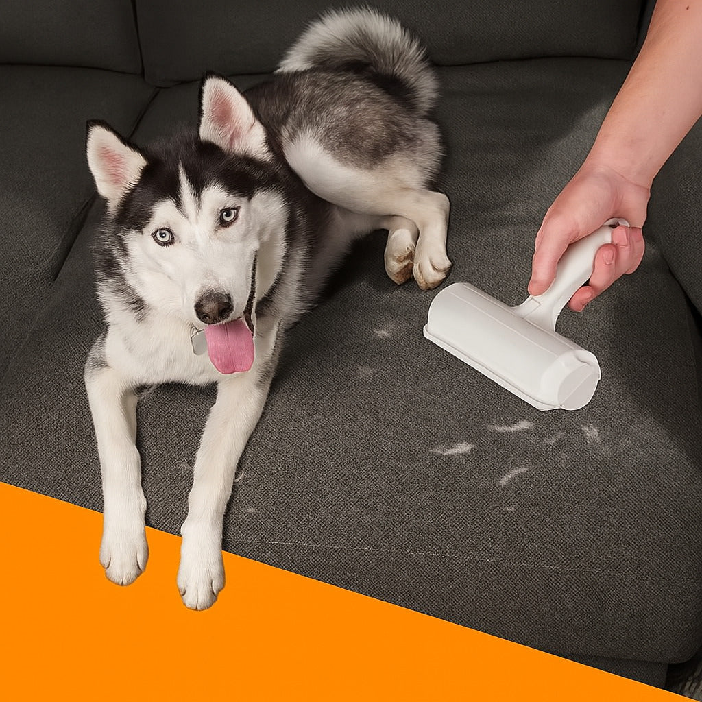 Coverfect Pet Hair Remover Roller