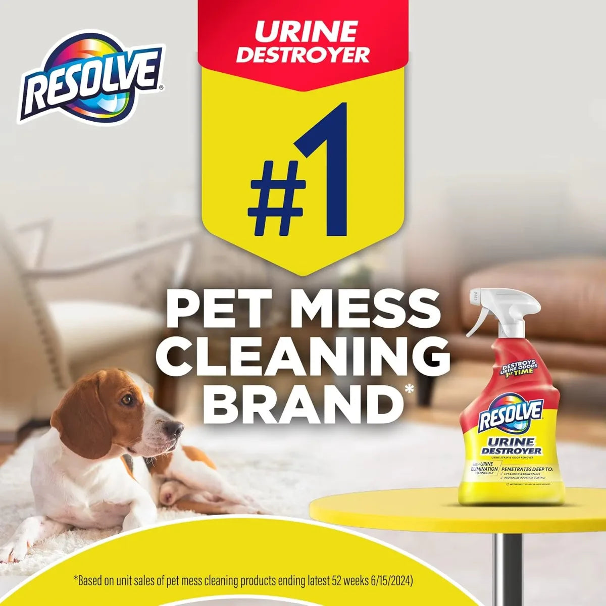 Pet Odor & Stain Remover Spray for Sofa & Carpets