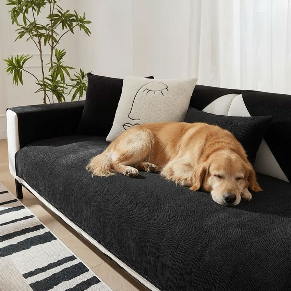 Golden Retriever dog sleeping on sofa protected by black morandi chenille sofa cover